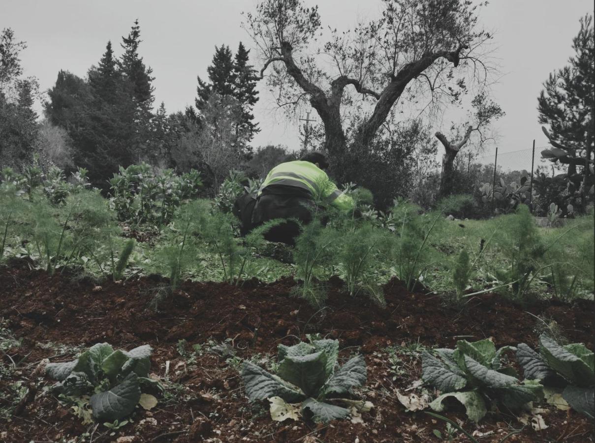 Salento Home Farm Bagnolo del Salento Luaran gambar